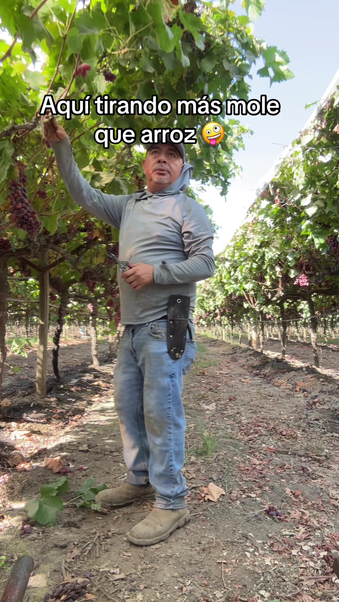 @Gustavo