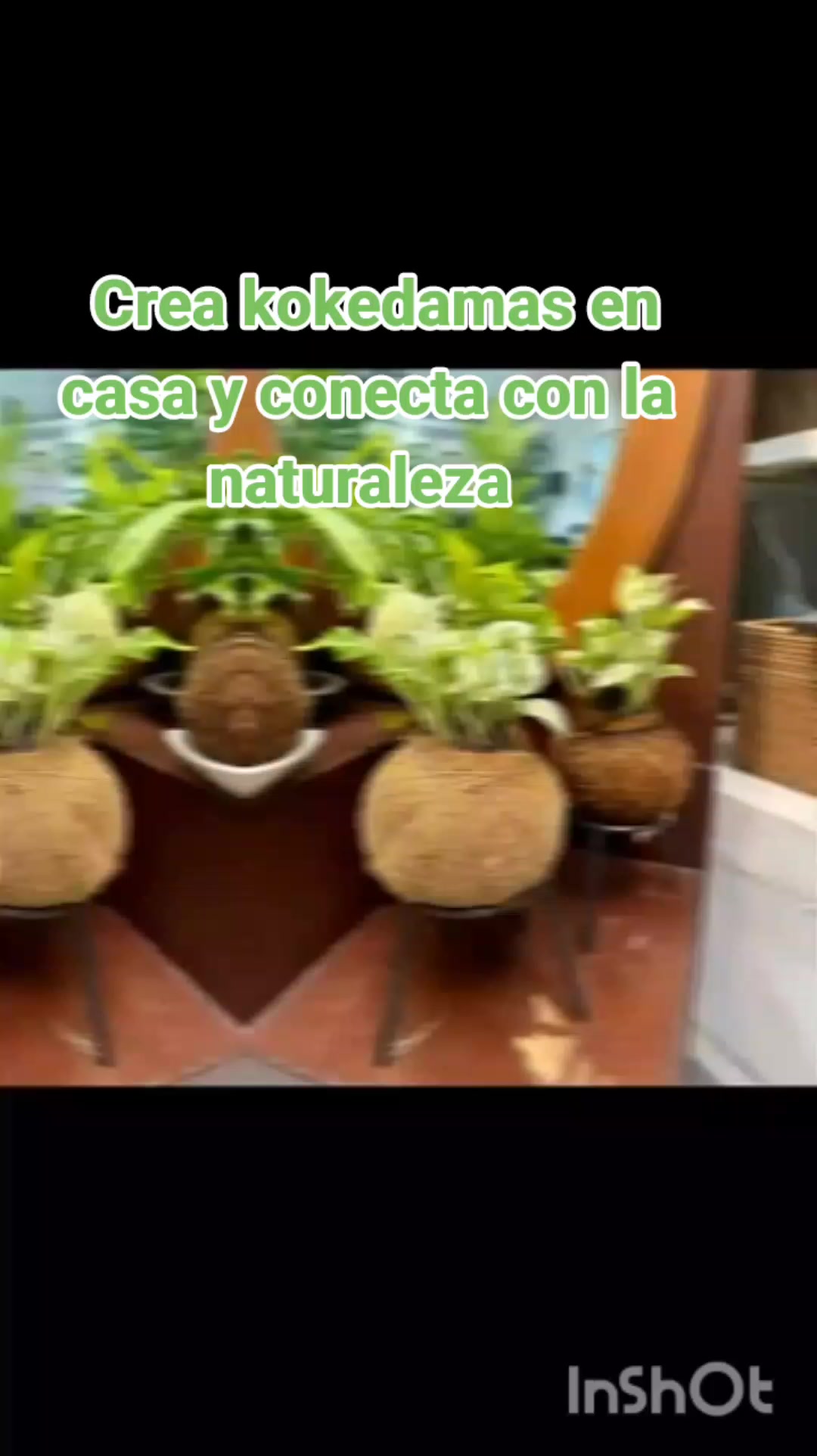 @user20505406424