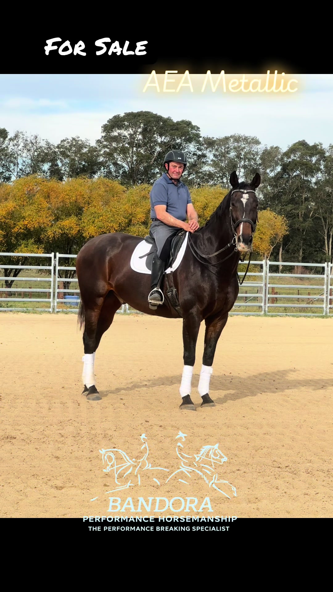 @Bandora_Horsemanship