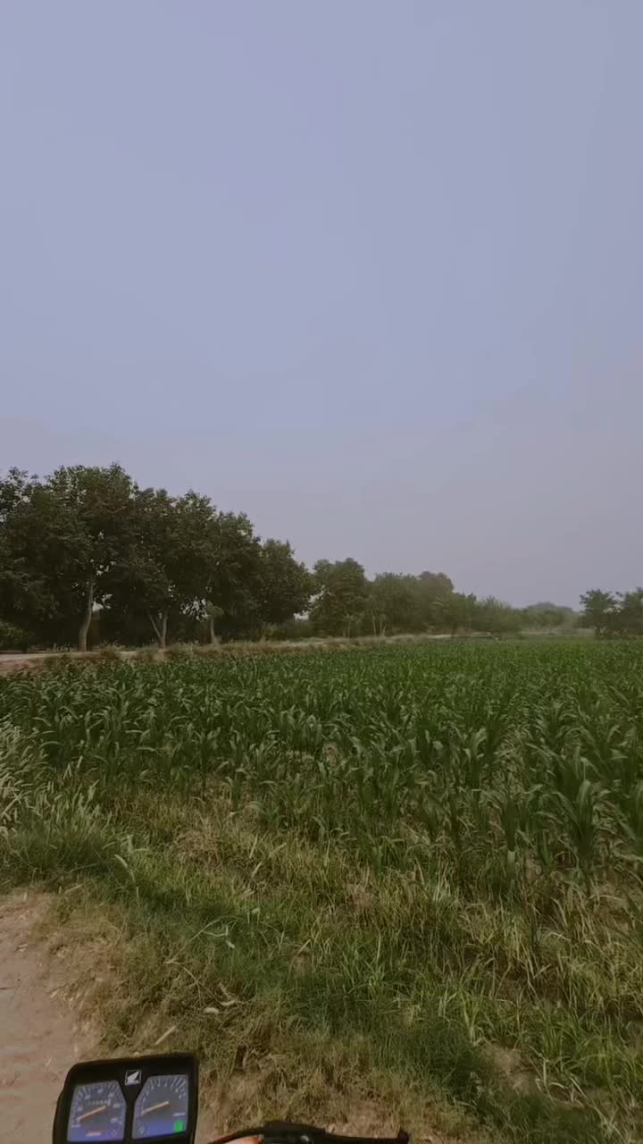 @Bajwa 423 آلہ