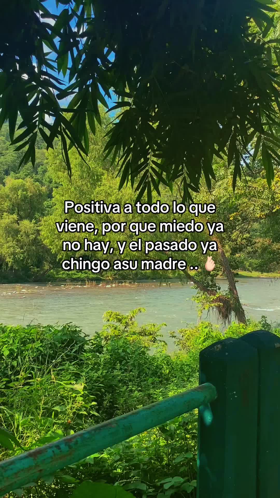 @✨🦋£LII GARCIA🦋✨