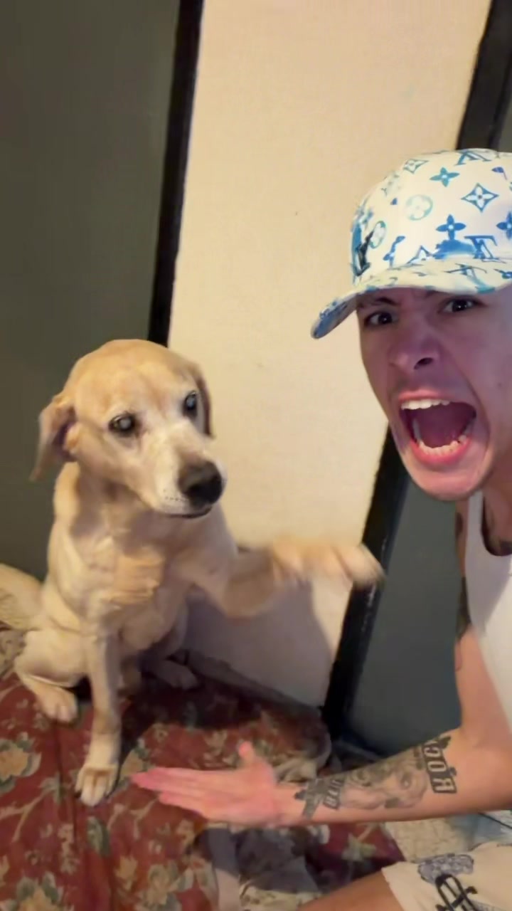 @RABIOSOO 🐶