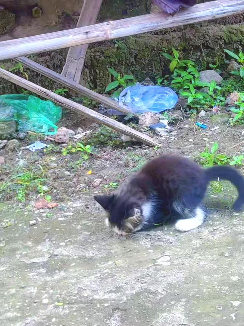 @Ati Henna dan Nailart Cirebon