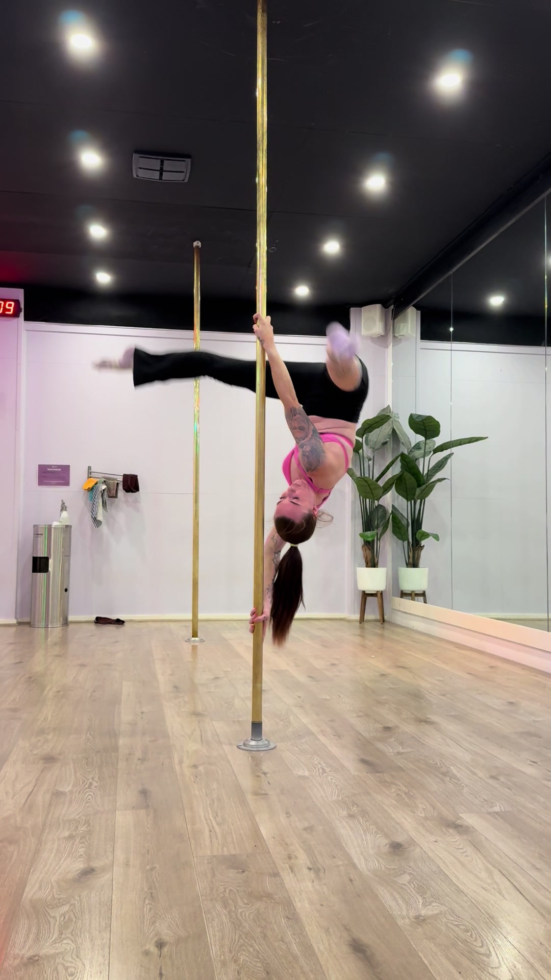 @aerial.alex