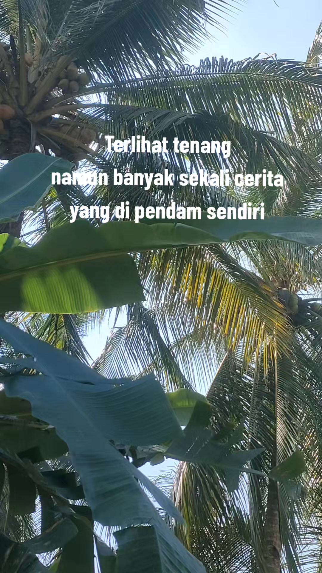 @Fjrr