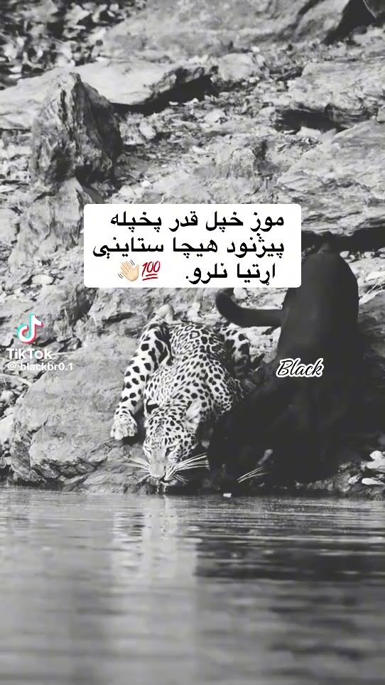 @💔❤💔افغان💔💔💘