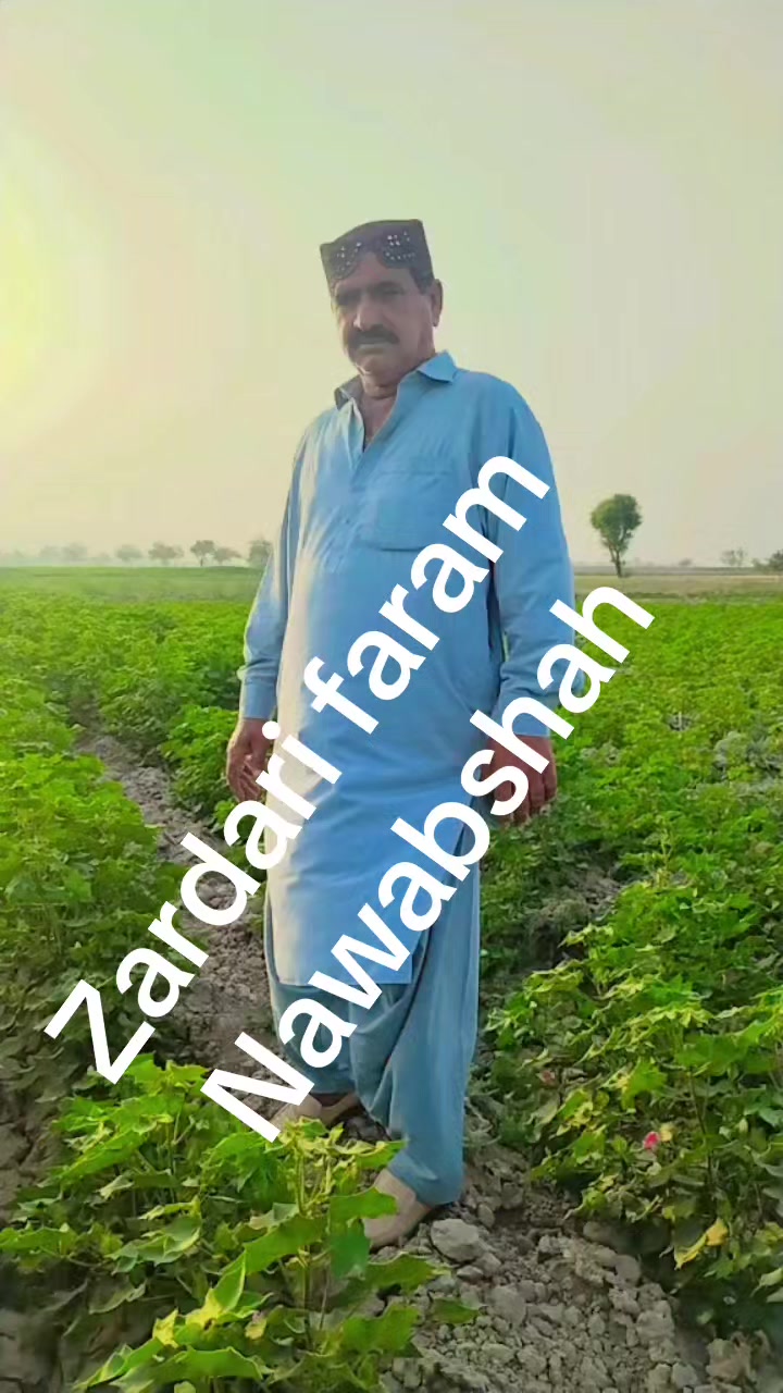 @sabir Hussain Zardari 110