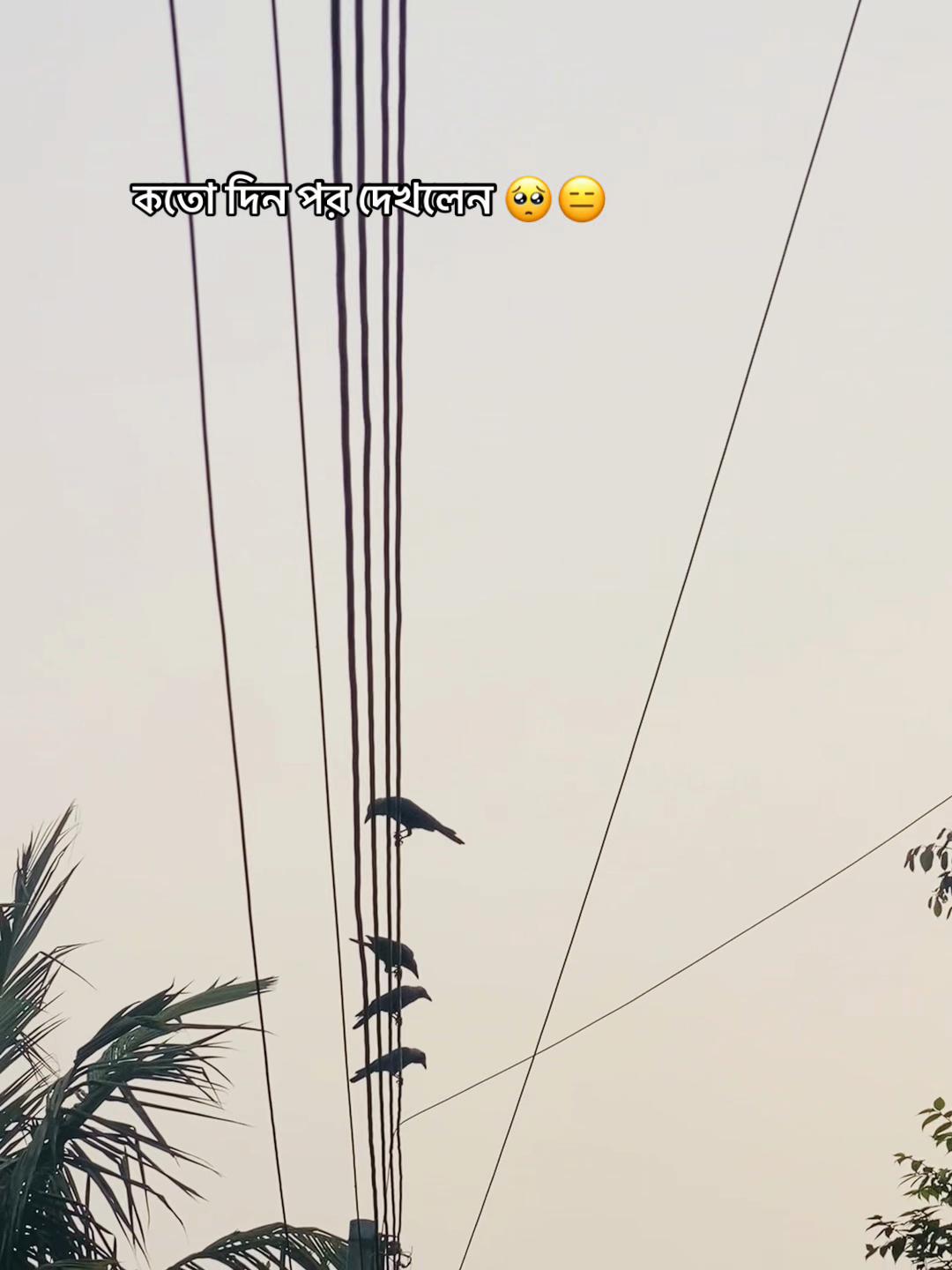 @♡ M 𝙾 𝙽 𝙽 ꫝ 
