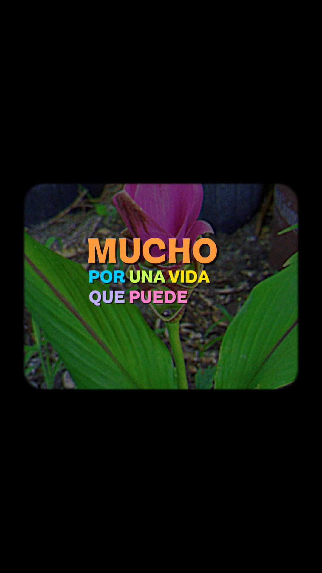 @Sonora depresi&oacute;n ♾️🫜