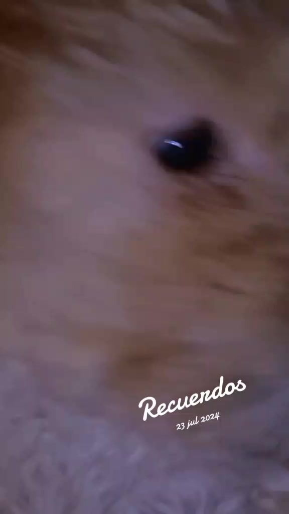 @Maii 🩷