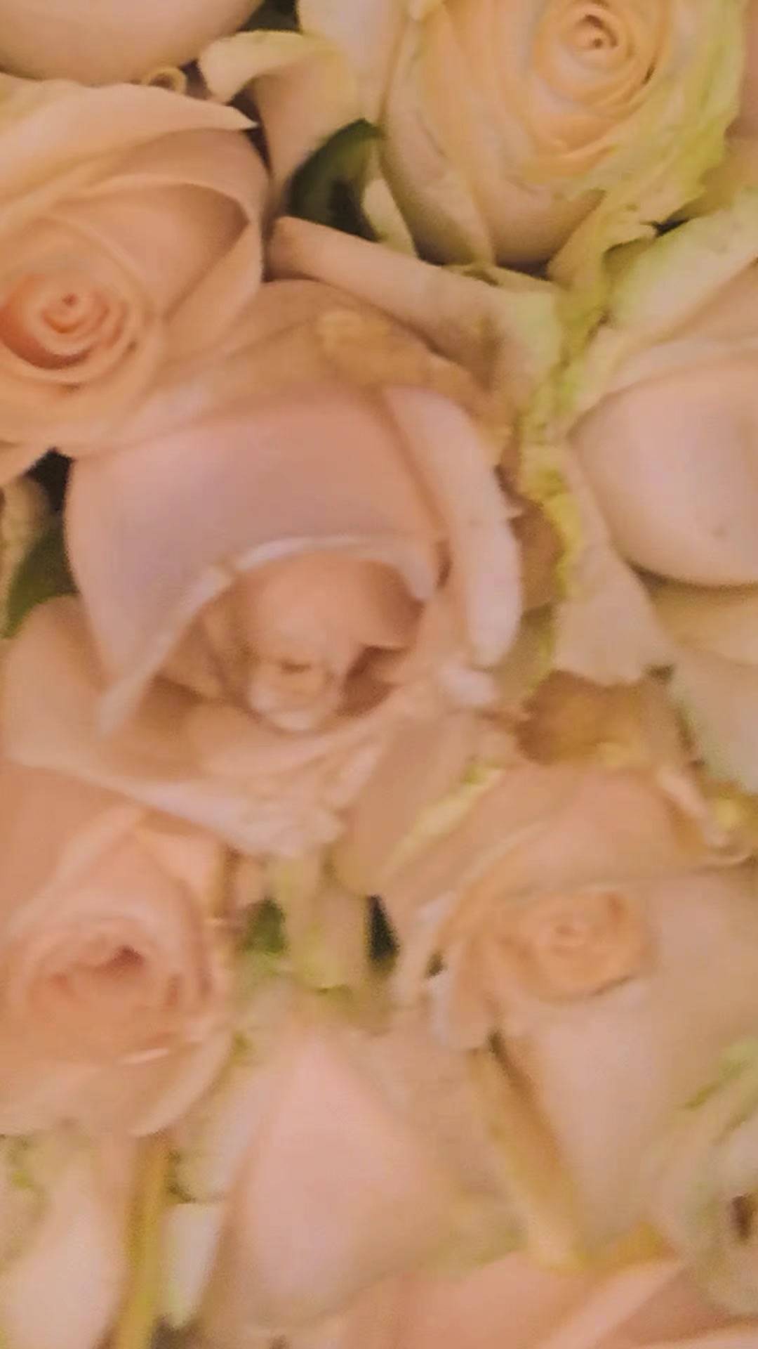 @👑Любимая Королева👑