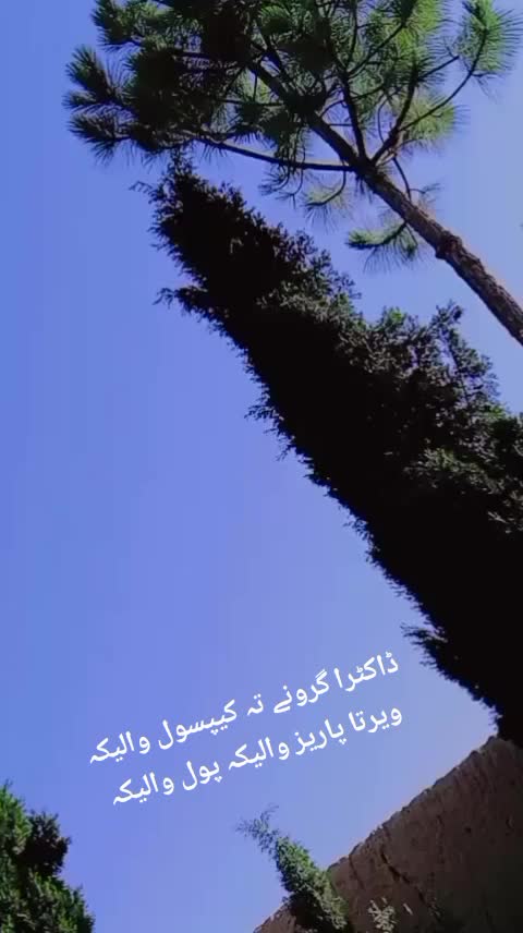 @{Ak}..{wzr}