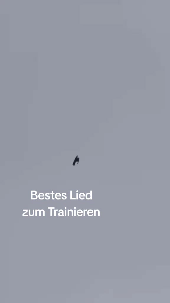 @elez boss