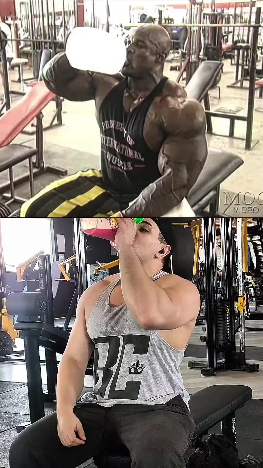 @BulkingMorfo🦣🔥