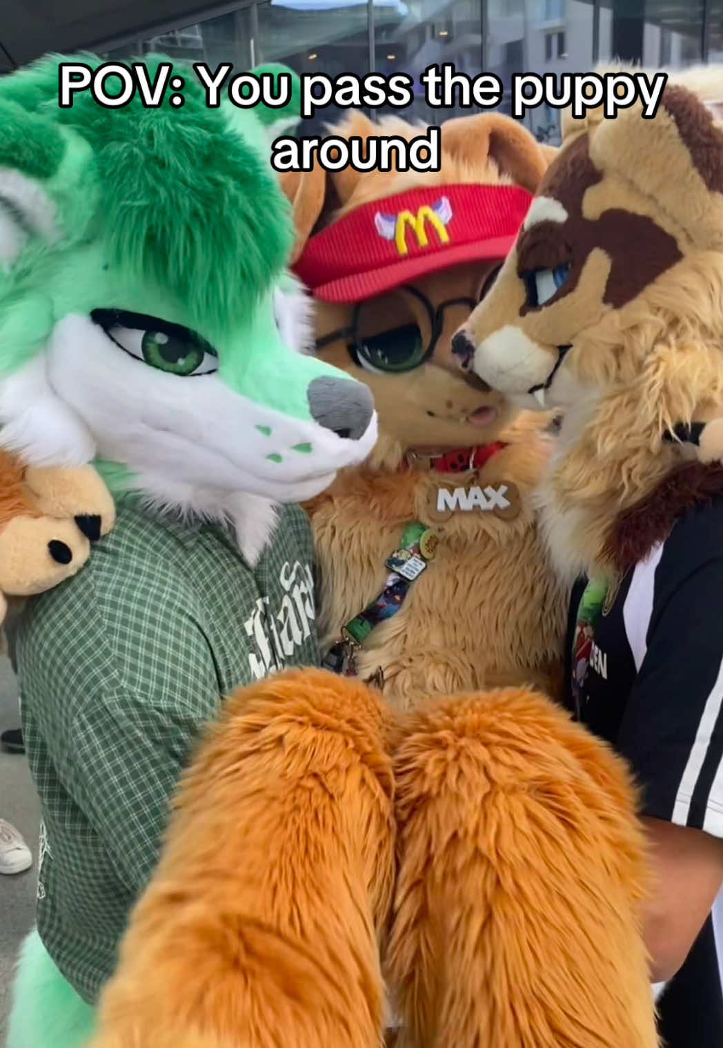 @Max Fluffy