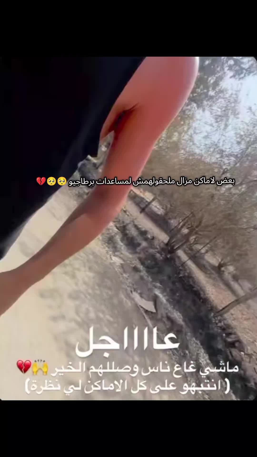 @ꕥ ᴍɪᴏᴜsʜ ꕥ🦋