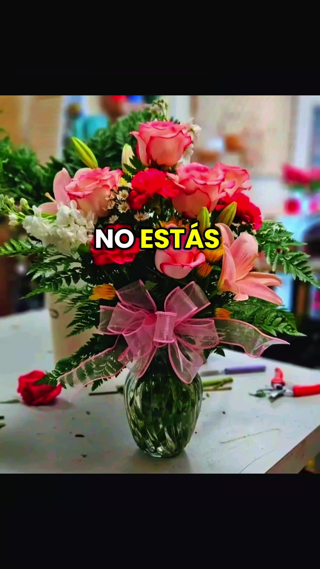 @@ cruz