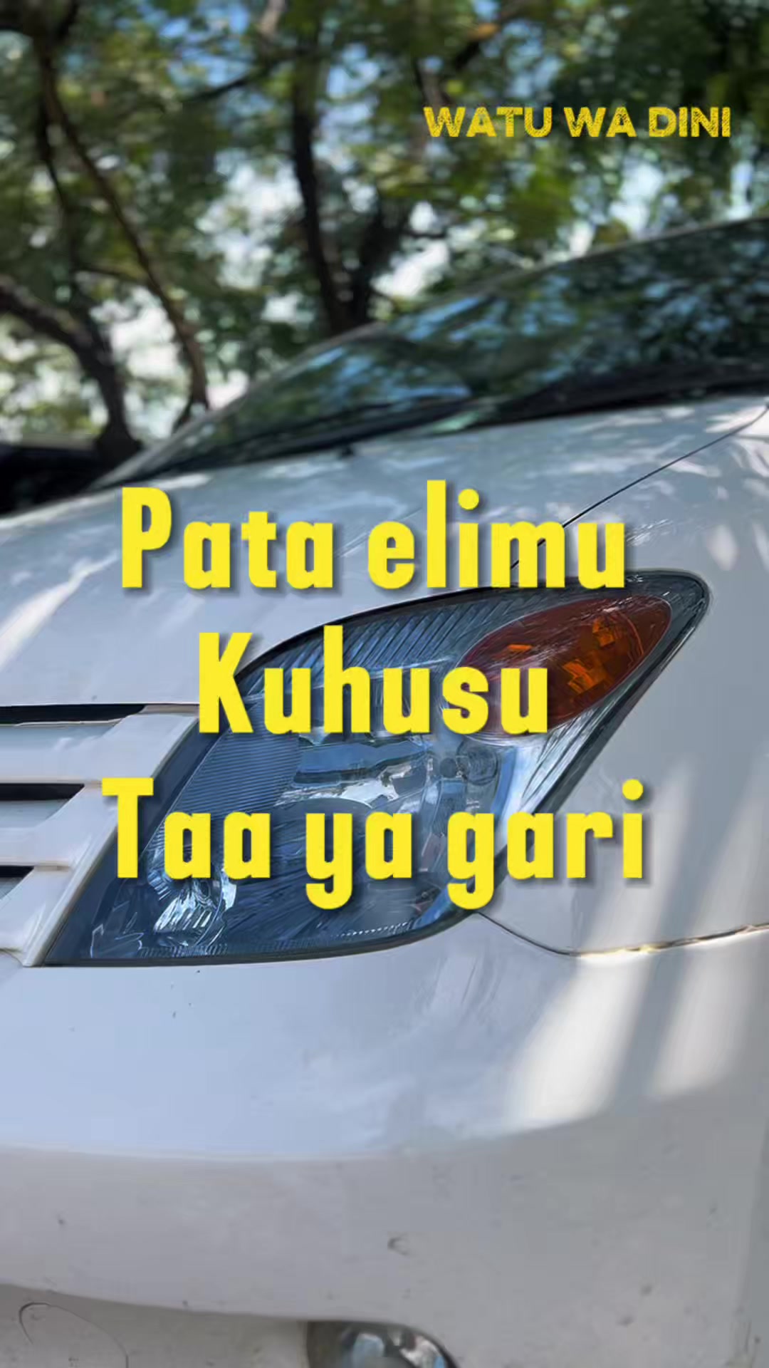 @ALLTECH_TZ