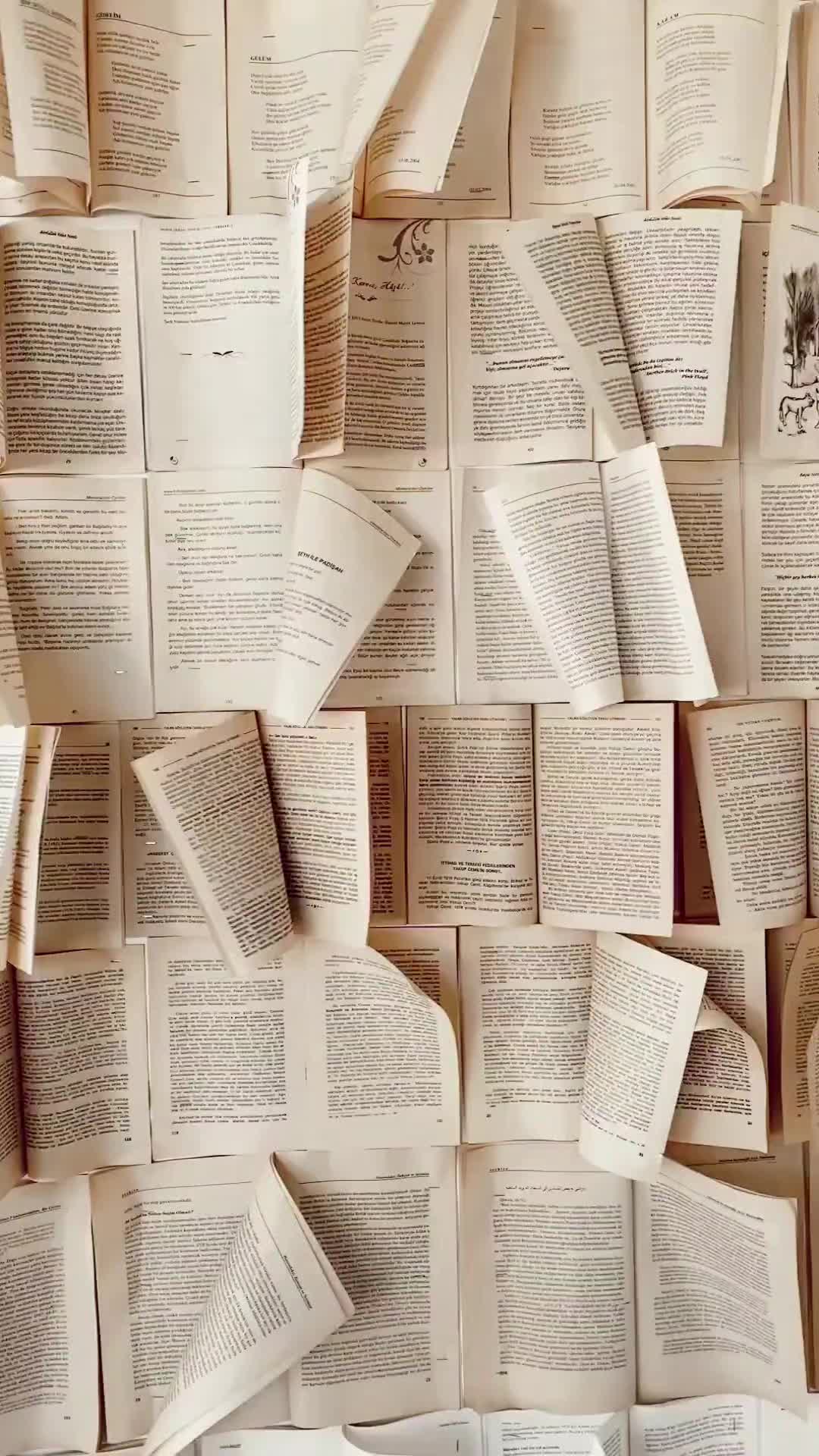 @Lauren Wisehart📚 Author