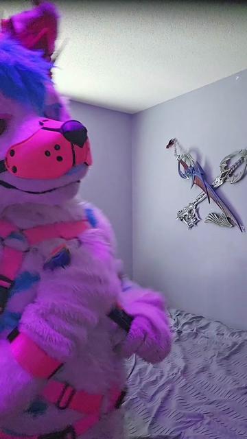 @Tolfzilla