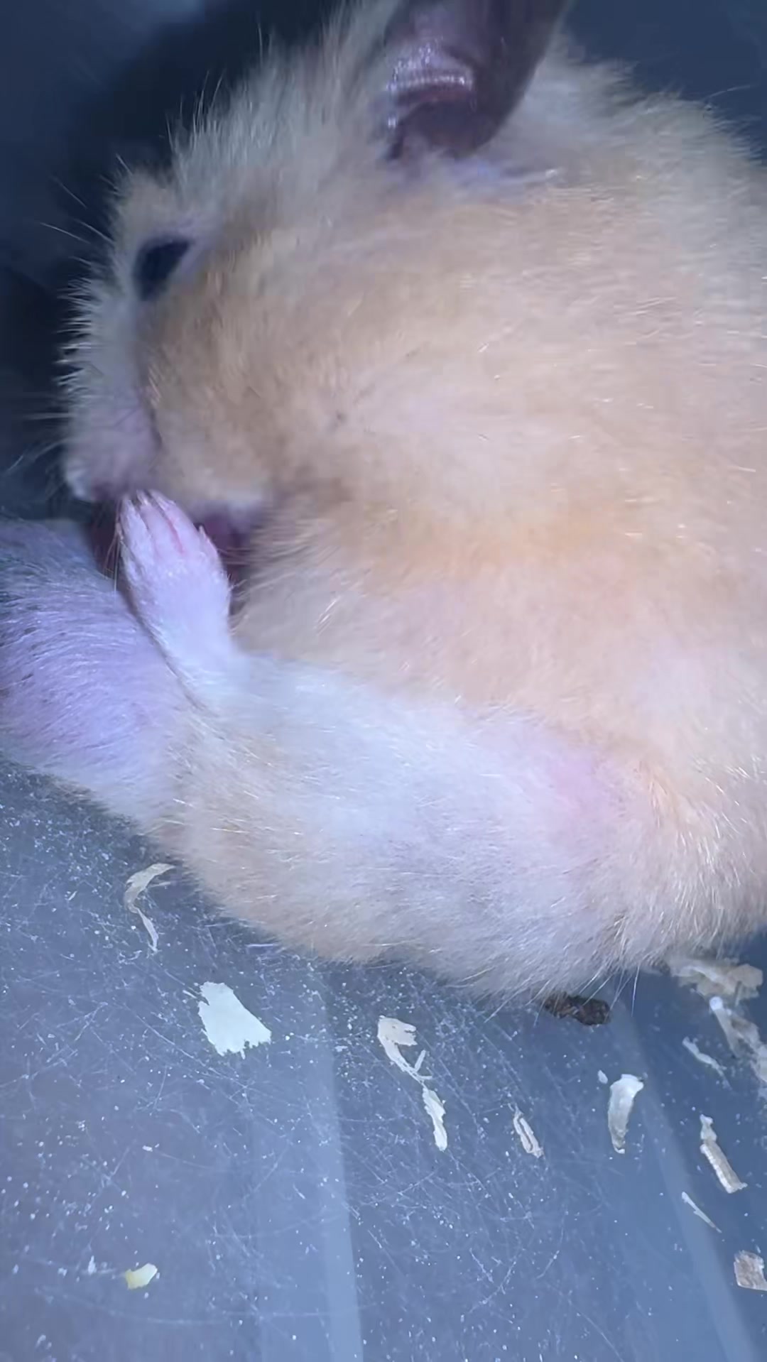 @ใใ P๐๐