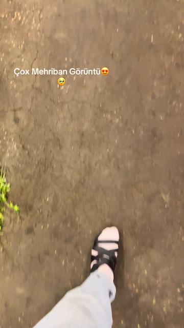 @B1r.wezrreii__
