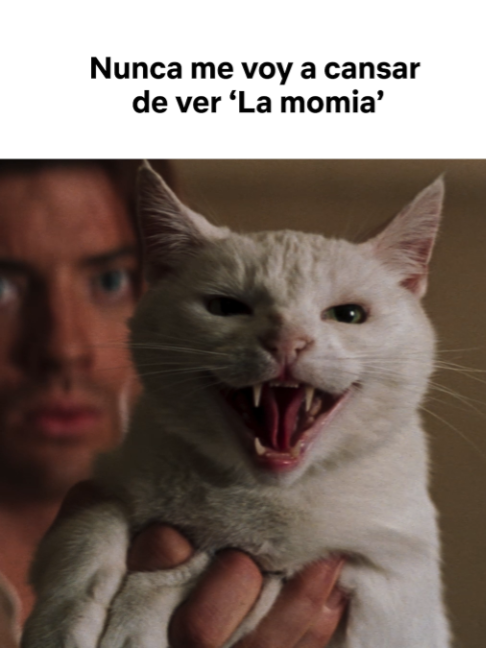 @Netflix Argentina