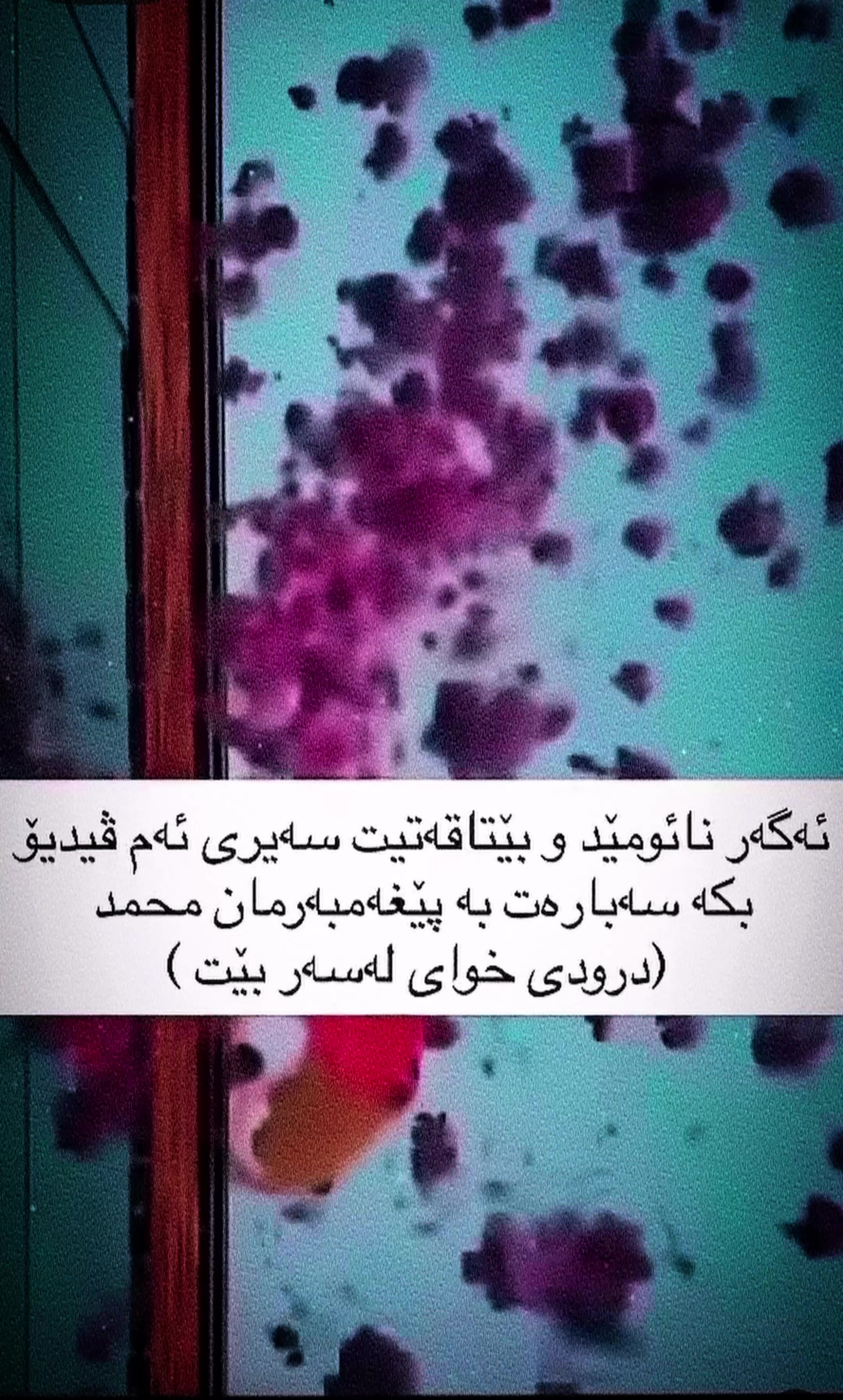 @﮼هەپی🤎.