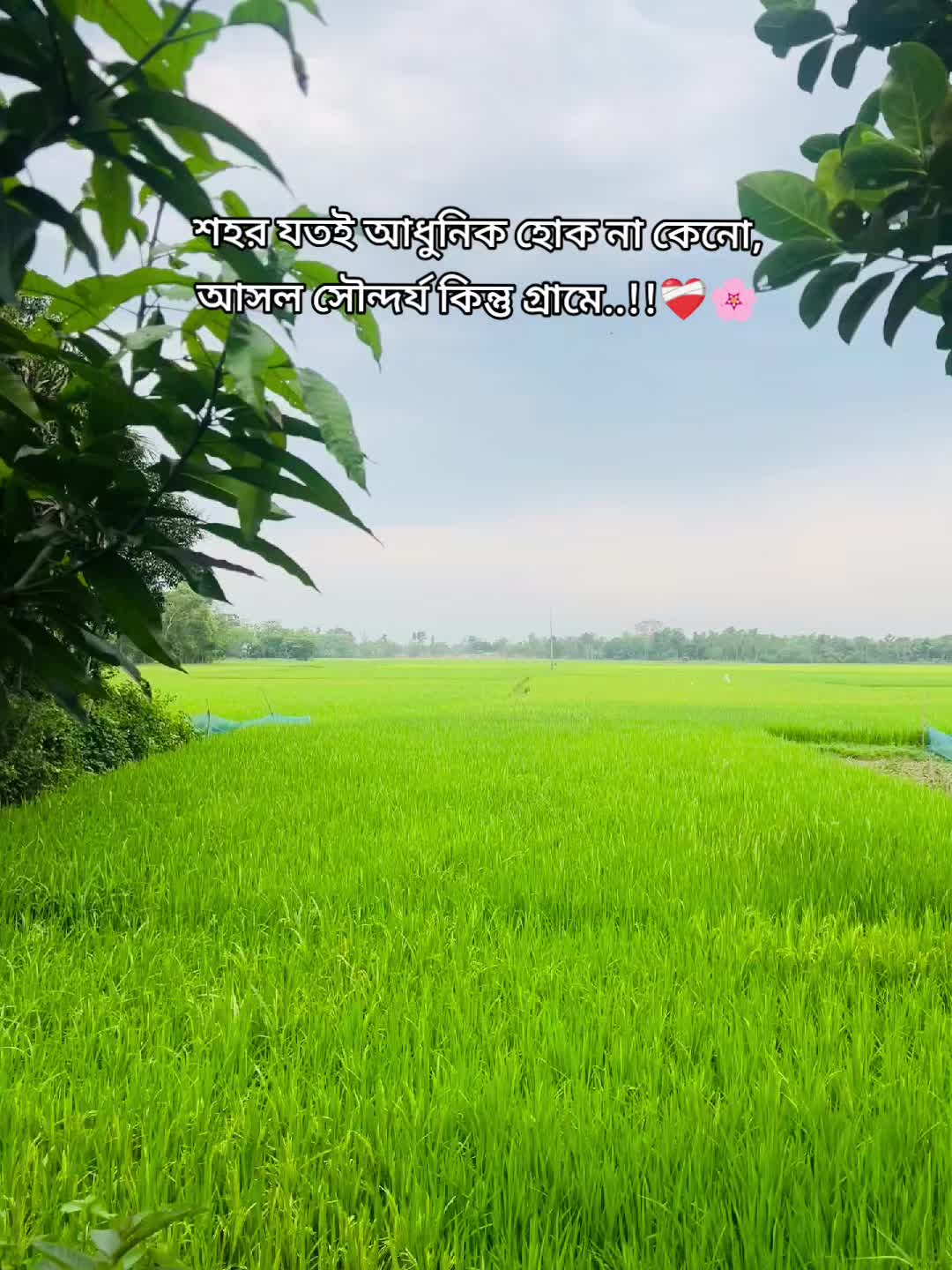 @༅༎ ⊱ ༅Alex_Babu Uky༅༎ ༅༎ ⊱ ༅༎