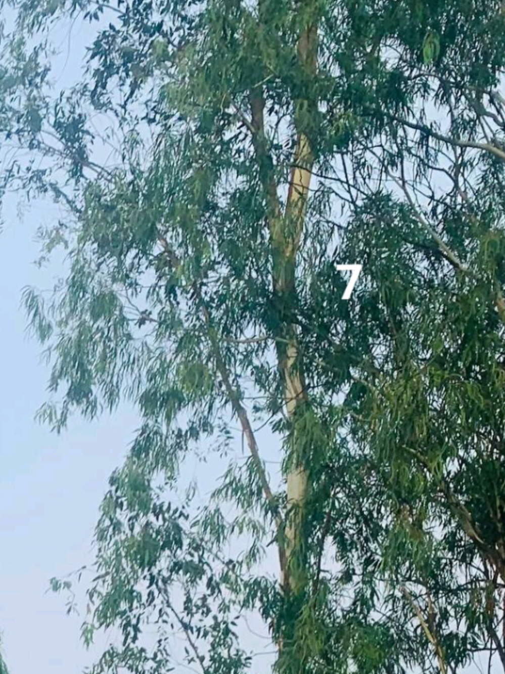 @🇧🇩الابن الأصغر للعائلة✈️🇸🇦