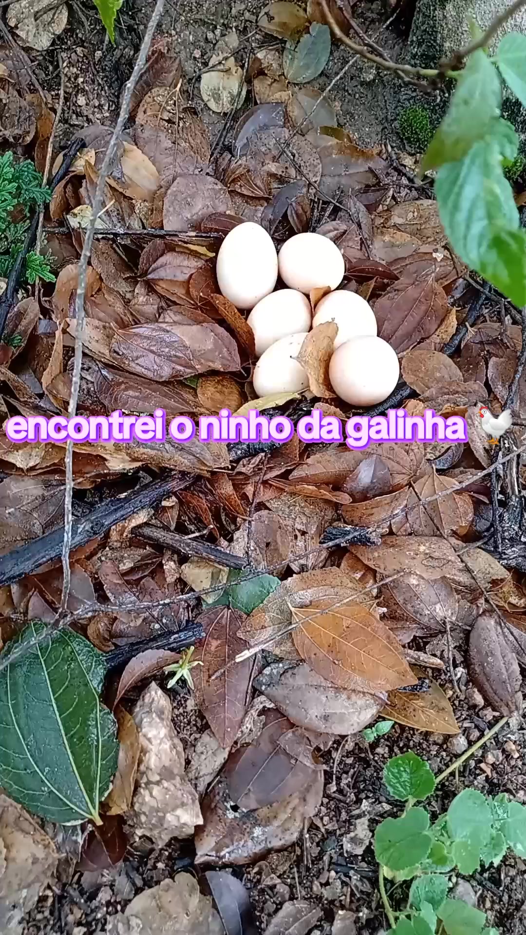 @japa🧩🧩