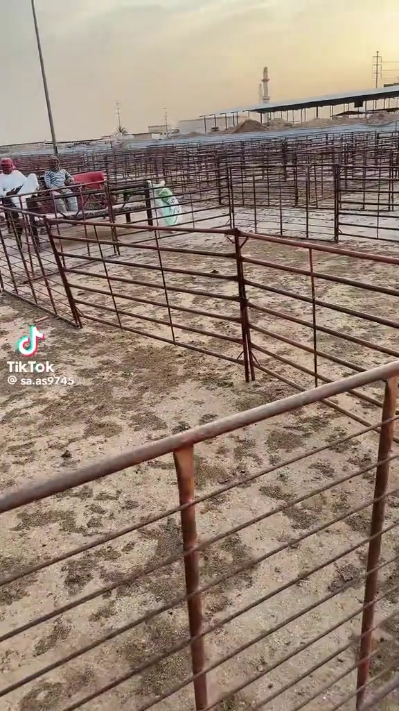 @mohamed_ksa0
