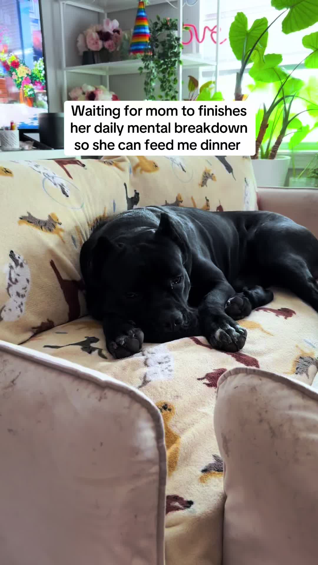 @Bentley Has Issues
