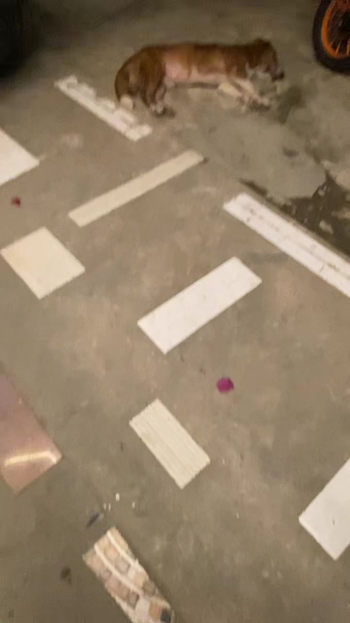 @🤎𝖕𝖘𝖆𝖑🎭𝖒𝖙𝖍𝖌𝖘🤎