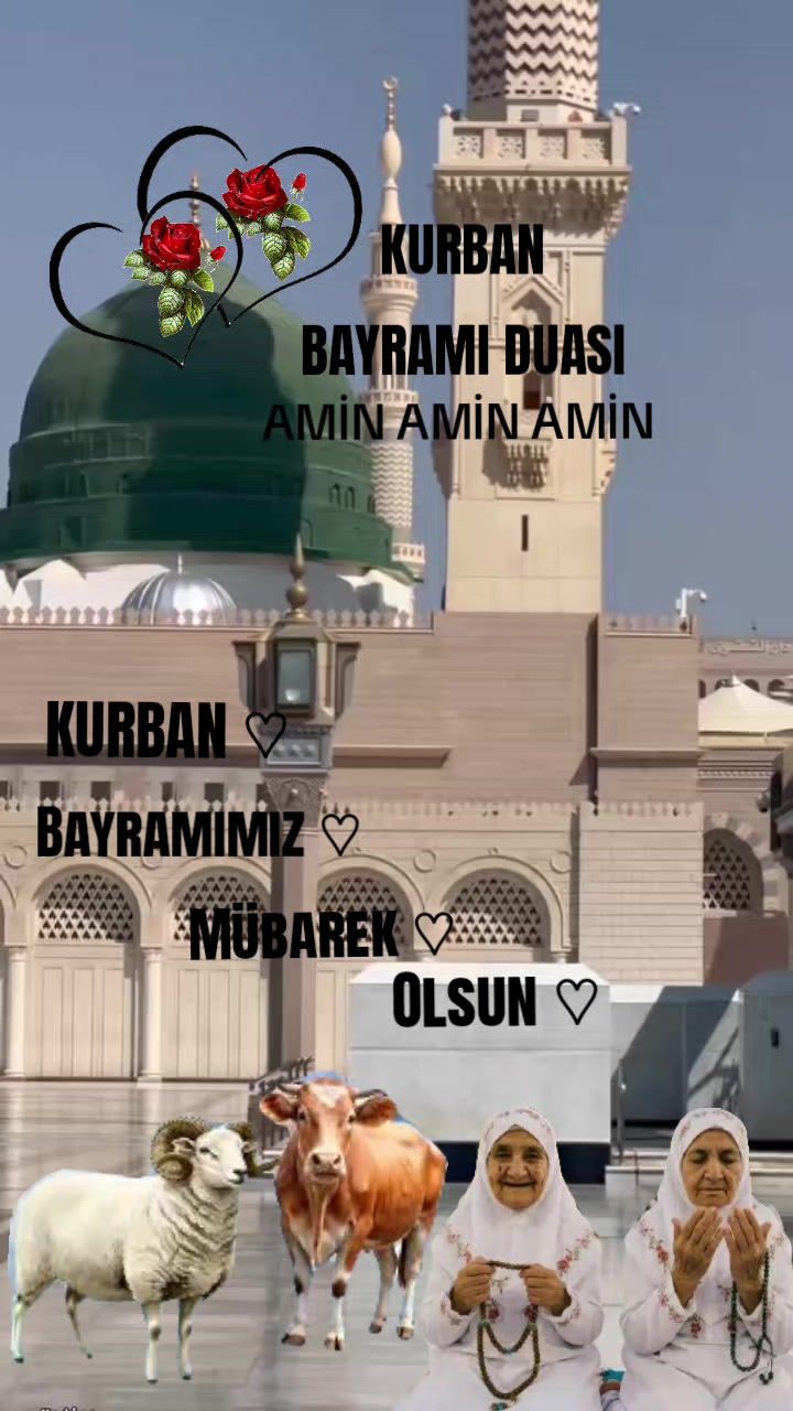@🇹🇷҉͜͡✭DAMLA🦂GÜL🇦🇿҉͜͡✭