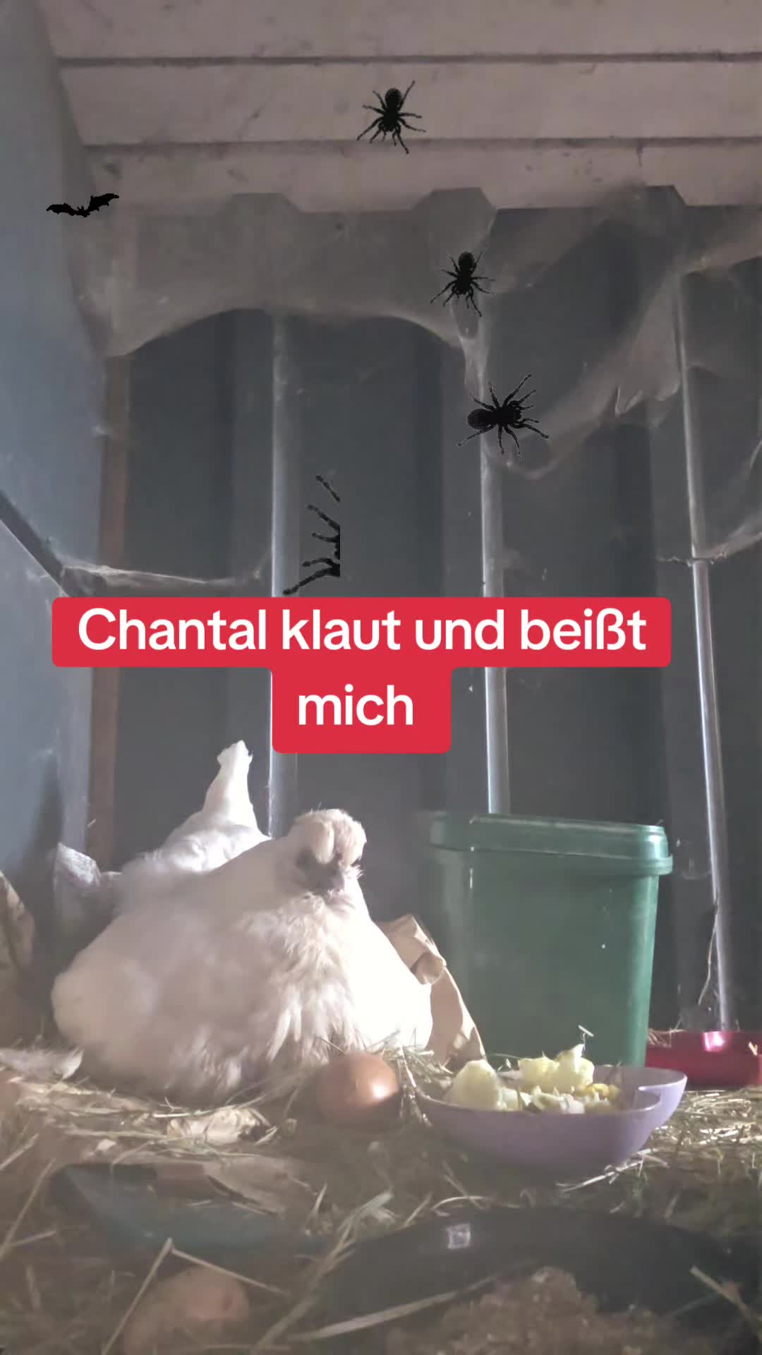 @Janine&Schatzi die echten