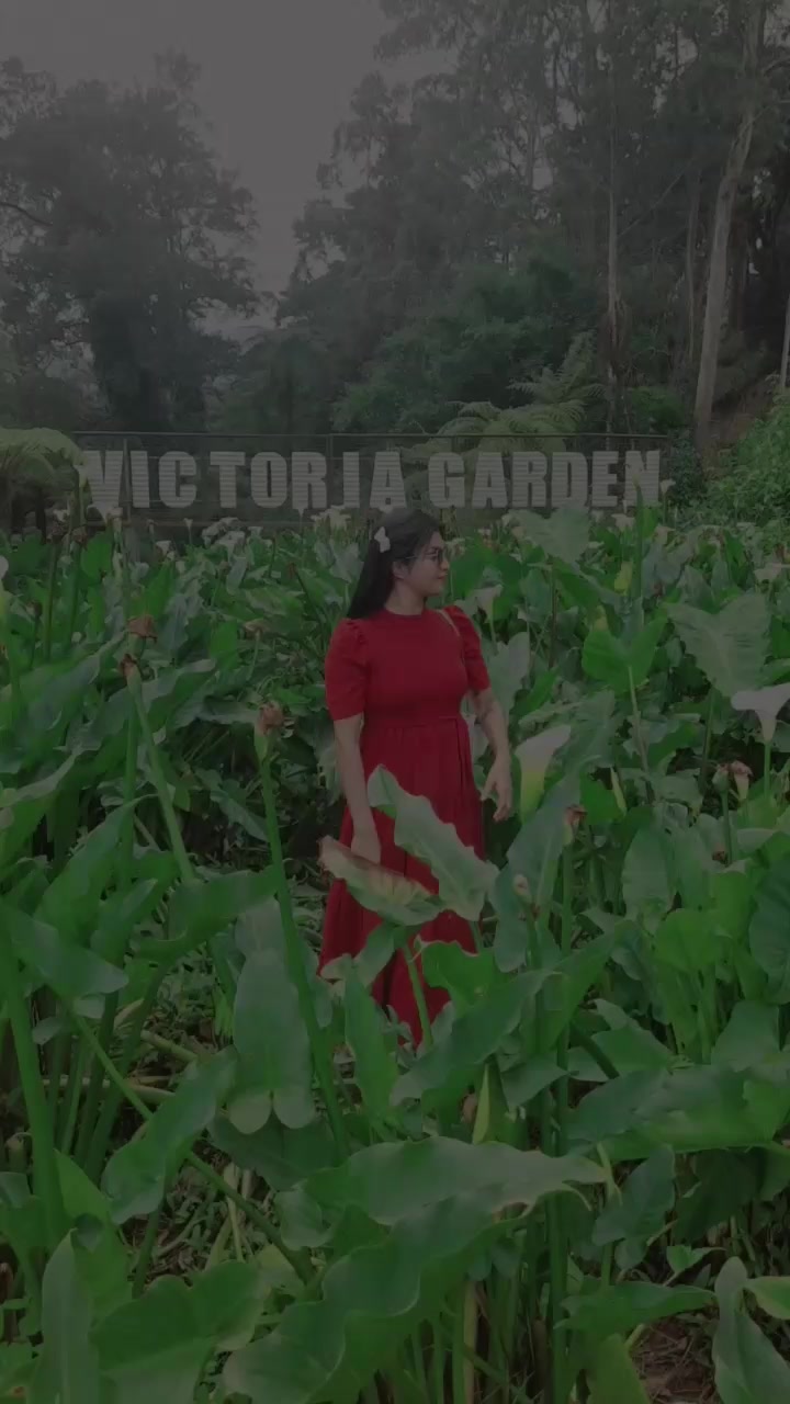 @🦋හංසි බාබා🦋