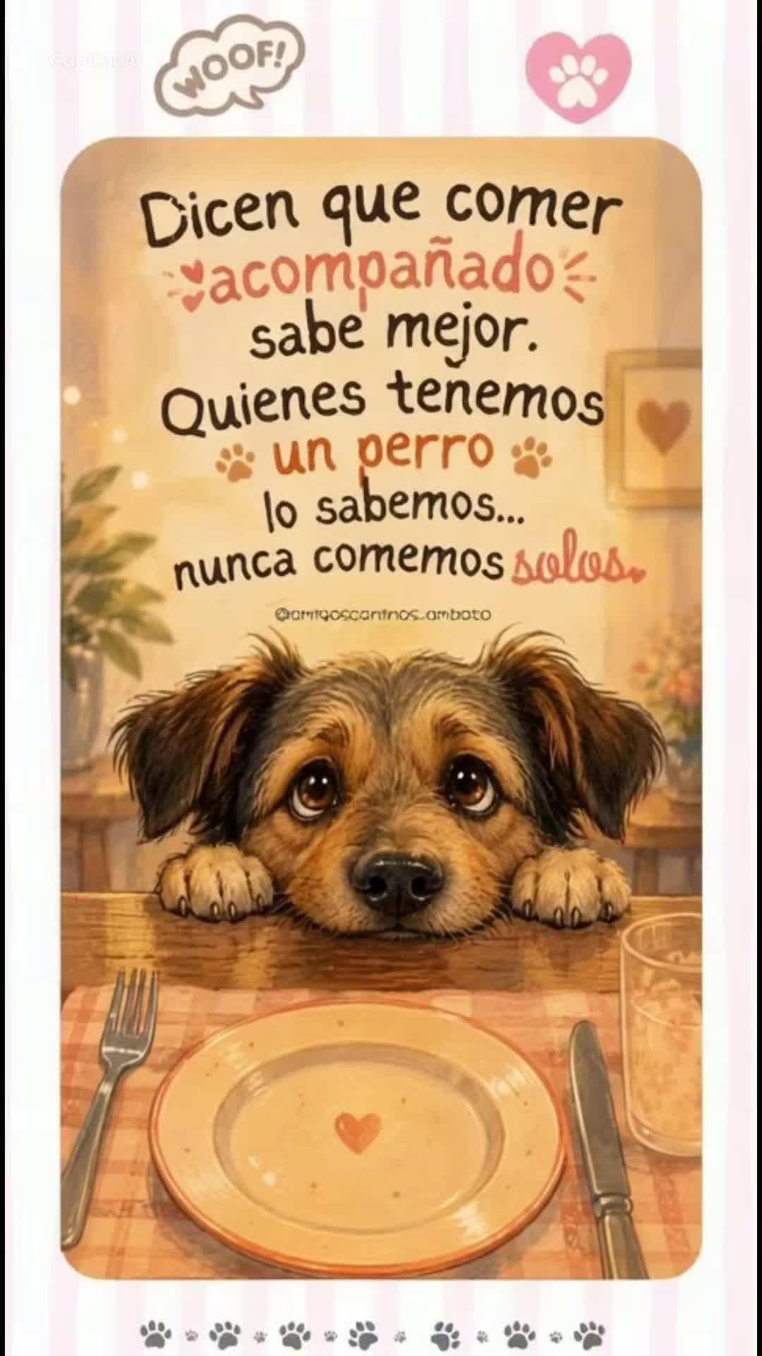 @Amigoscaninos_Ambato