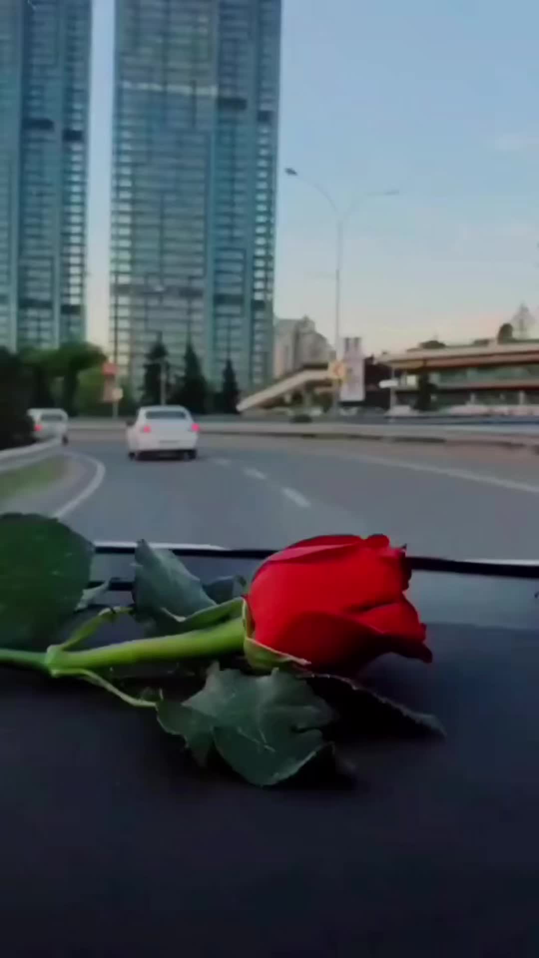 @YAIFABi🦋🌷🌹