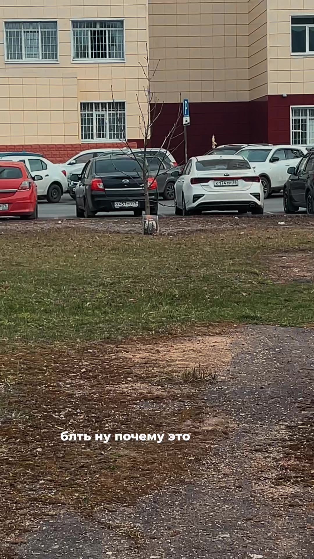 @не воровка, не гадалка