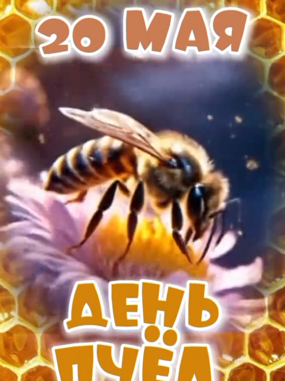 @Видеооткрытки