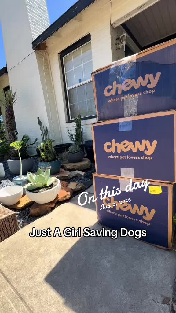 @Just A Girl Saving Dogs