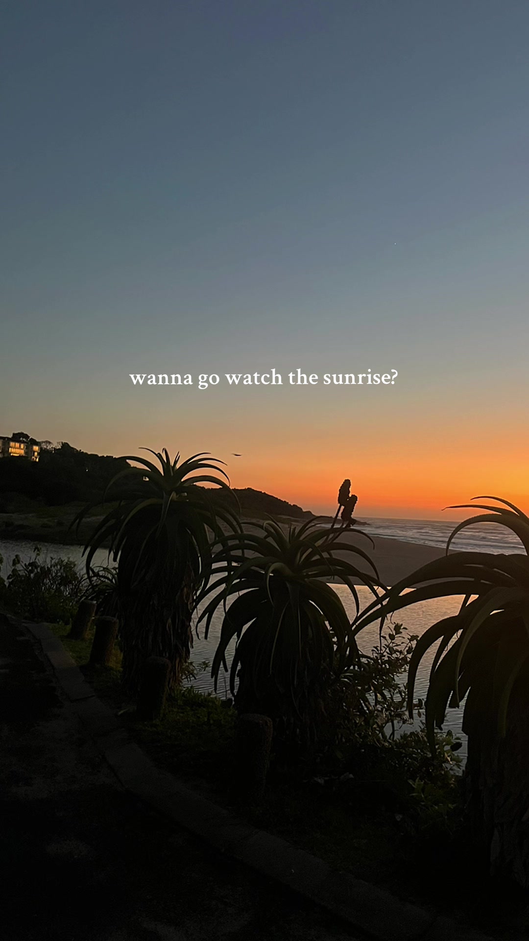 @Werner 🔆 🌊 🇿🇦