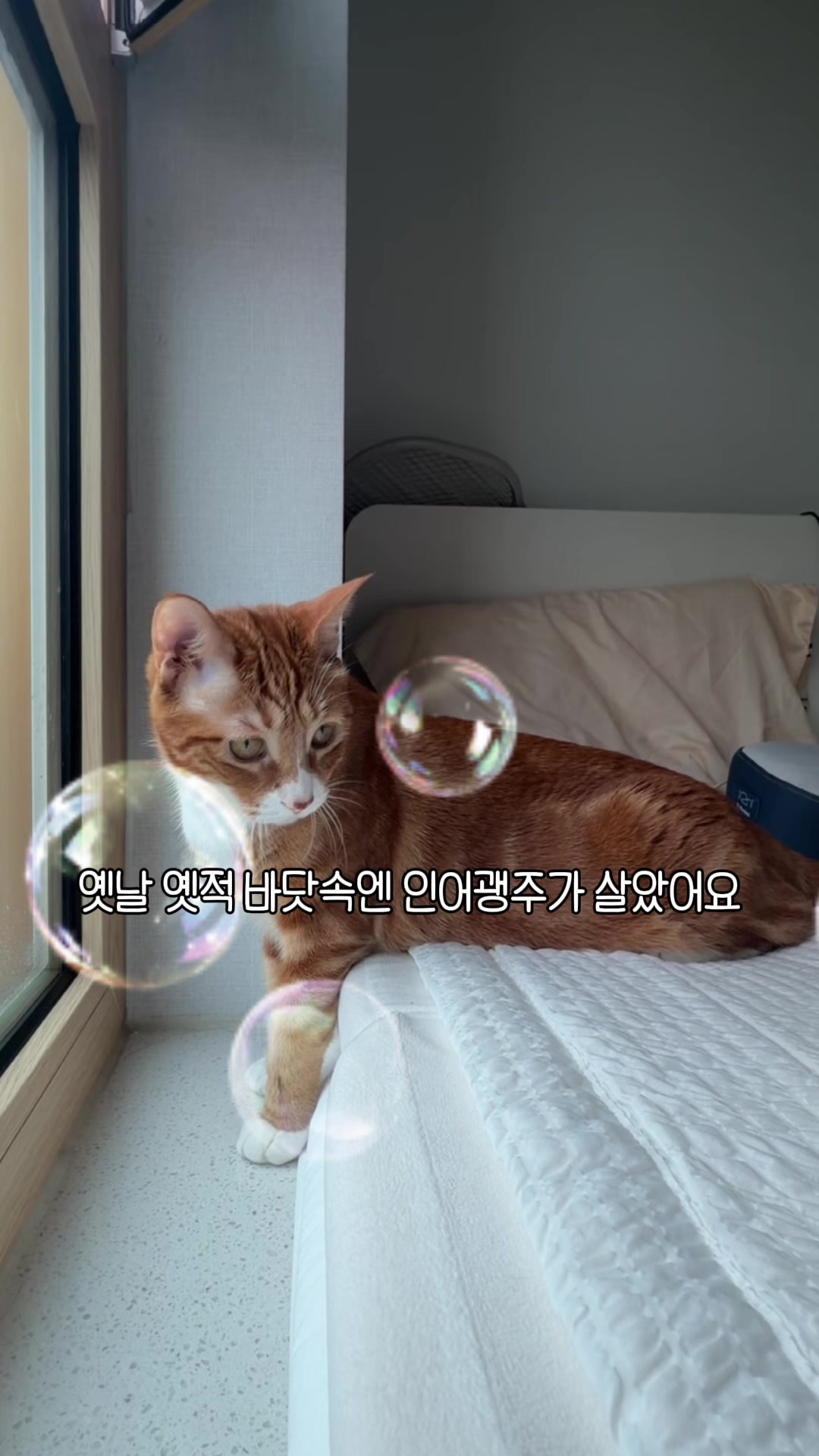 @뮤춘삼