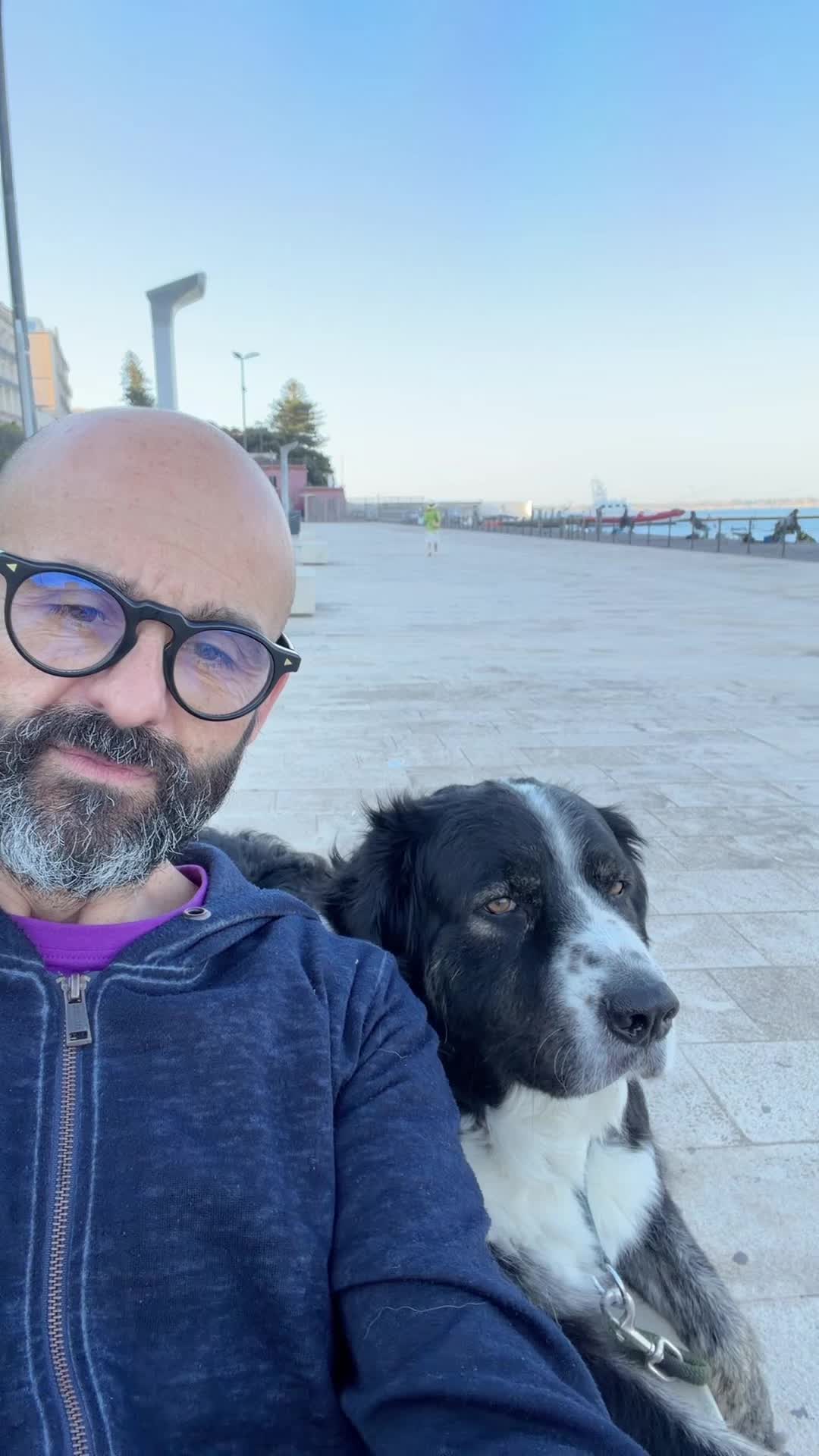 @cicciodomenico