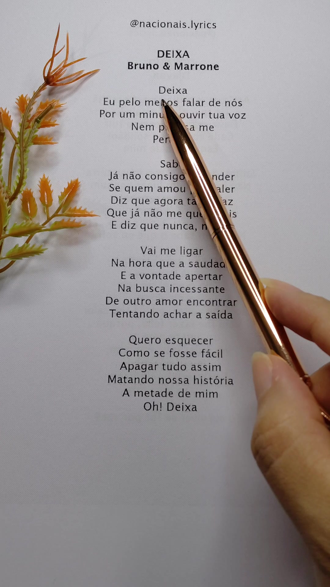 @nacionais lyrics