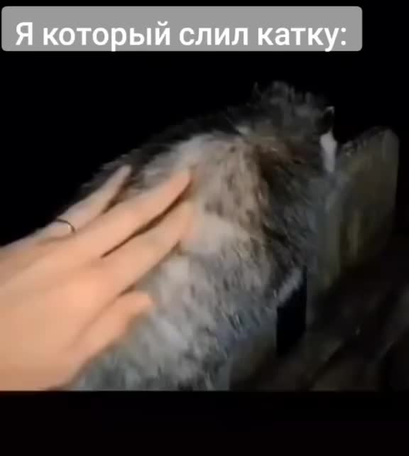 @Злючечка🩷