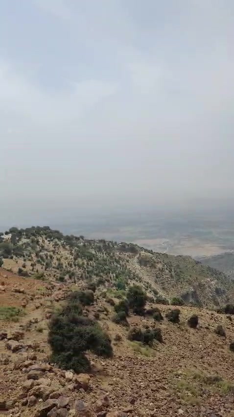 @Ibrar_333