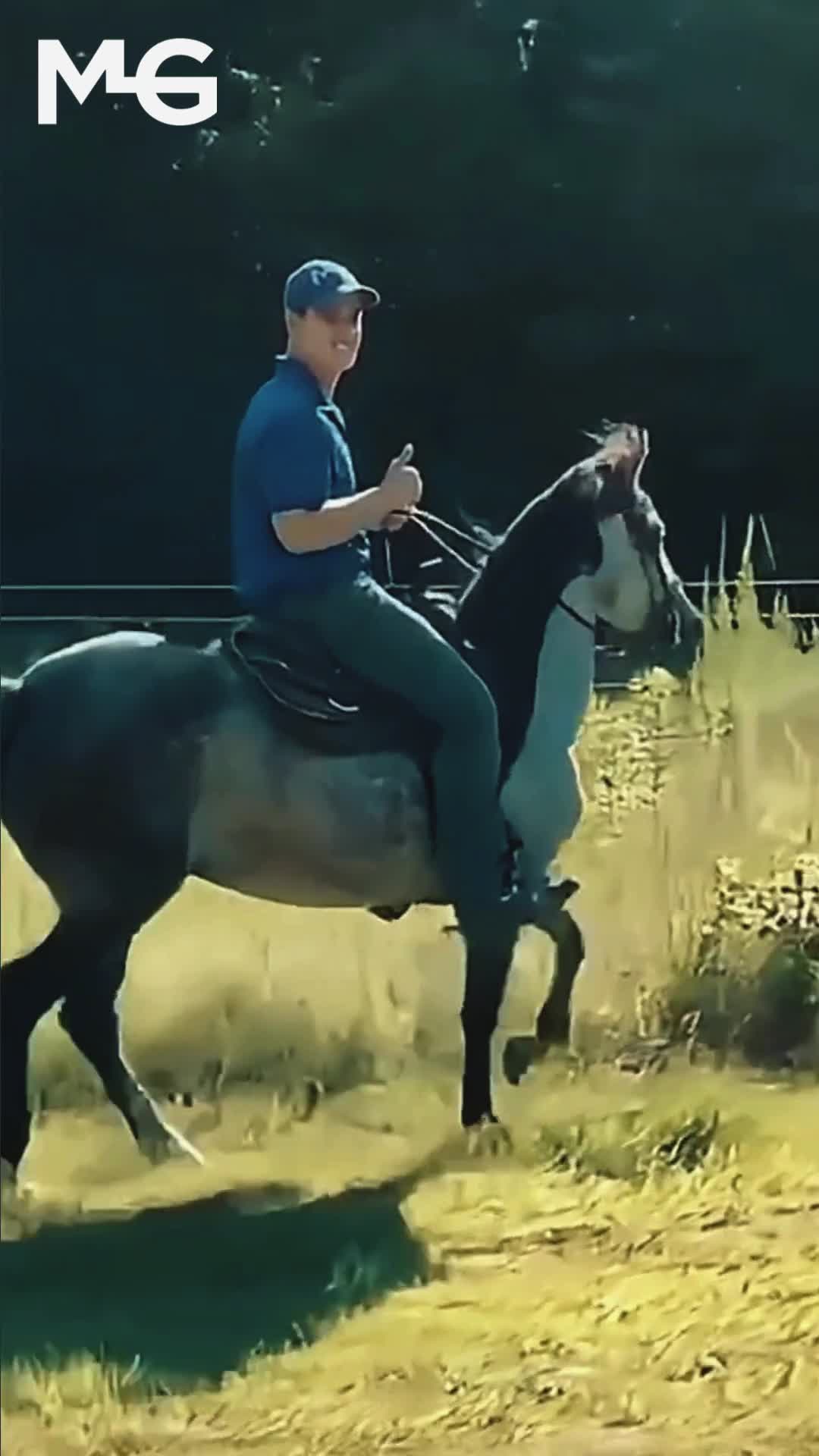 @Horse Help