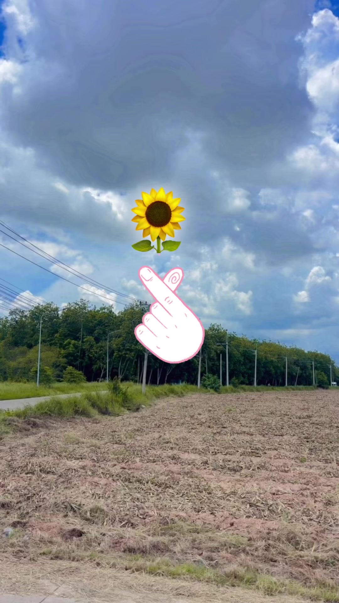 @🌻แม่แก้วของปูนปั้นกะปลาวาฬ🌻